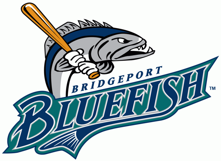 Bridgeport Bluefish 1998-Pres Primary Logo iron on heat transfer